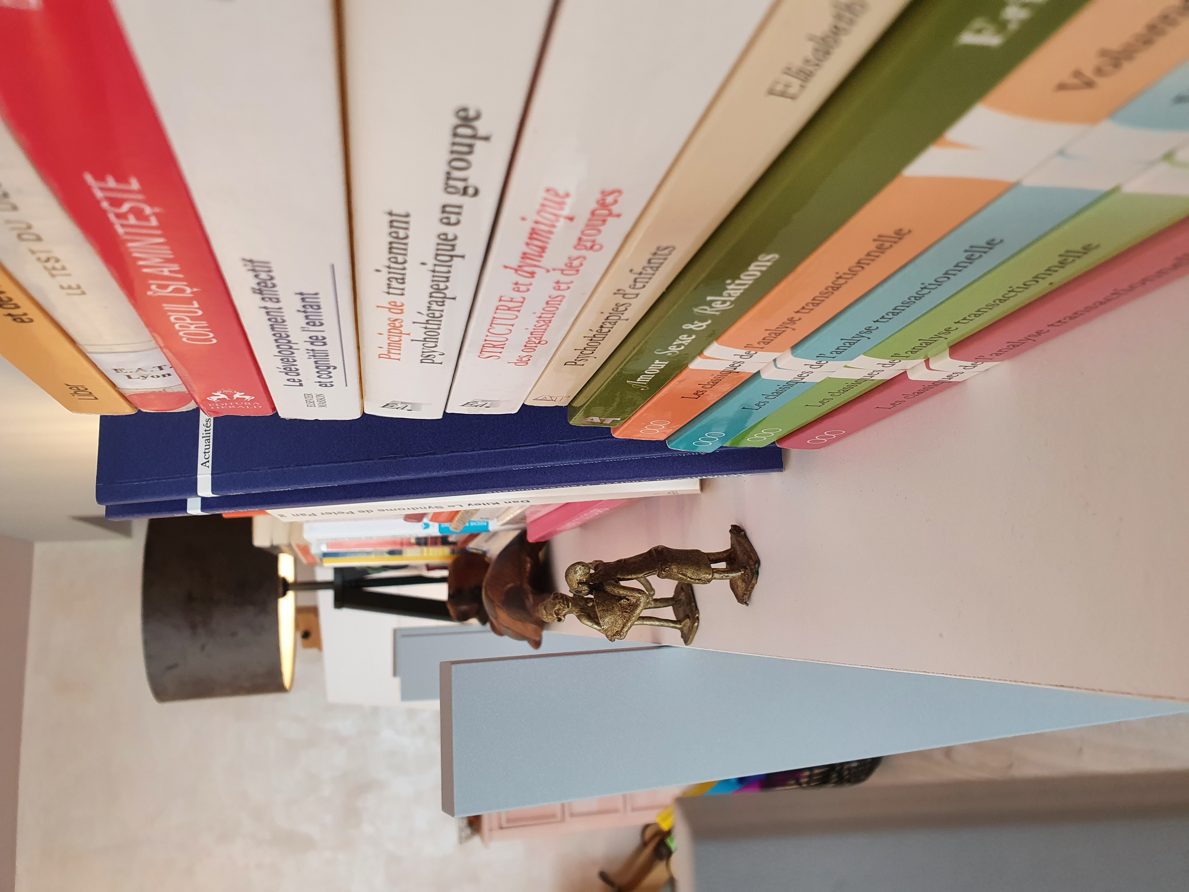 Livres de psychothérapie et petites statuettes